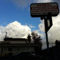 animal am emergency clinic pasadena|after hours veterinary near me.